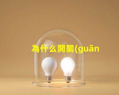 為什么開關(guān)不接燈珠也不亮 為什么開關(guān)不接地線